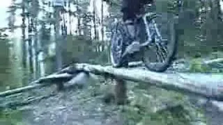 Mountain Bike Downhill XC Freeride