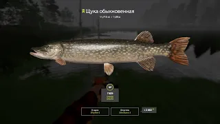 Russian Fishing 4/фарм щуки на старом остроге