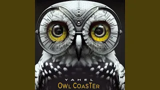 Owl Coaster