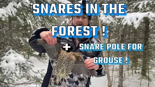 SNARING A GROUSE with a SNARE POLE - RABBIT SNARES IN THE FOREST ! Trap line in Western Newfoundland