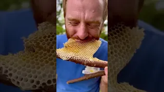 Fresh honeycomb on a stick courtesy of the Bees 🐝🐝