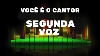 Só dá você na minha vida  - João Paulo & Daniel (playback com 2⁰ vóz/ João Paulo) 1993