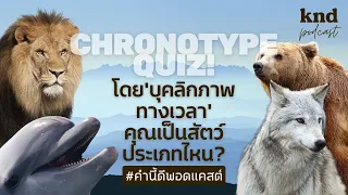 Chronotype Quiz โดย ‘บุคลิกภาพทางเวลา’ คุณเป็นสัตว์ประเภทไหน? | คำนี้ดี EP.966