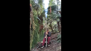 Tree climbing - How to get your rope up large trees - Air cannon technique