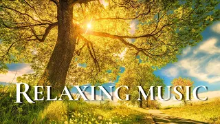 Relaxing Music For Stress Relief 🌱Gentle Music, Calms The Nervous System And Pleases The Soul