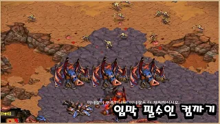 스타 컴까기 유즈맵 트로이 Zerg (적들 중 영웅들이 숨어있다)