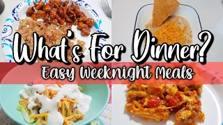 What's For Dinner? | Easy Budget Friendly Meals | Family Meals | Ep #73