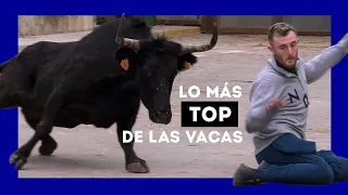 MOMENTOS DIVERTIDOS CON VACAS BRAVAS DEL AÑO 2022 😂😅