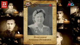 Сталинградский «политех» сформировал собственный «Бессмертный полк»