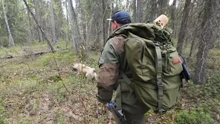 🔥БЕДА В ТАЙГЕ. ЧТО С ТАЁЖНОЙ ИЗБОЙ. ИЗБУ СМЫЛО ВЕСЕННИМ ПАВОДКОМ