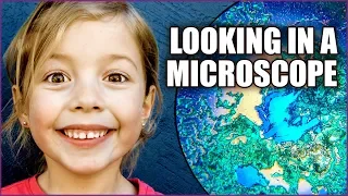 Microscope For Kids - Fun with Science