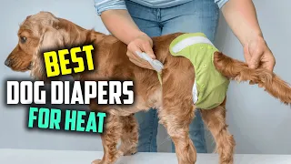 Top 5 Best Dog Diapers for Heat [Review] -  Disposable, Washable &  Reusable Dog Diapers [2023]