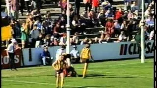 Round 1, 1996, Fitzroy v Hawthorn last few minutes