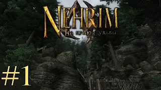 ТЕНЬ И СВЕТ | Прохождение Nehrim: At Fate's Edge #1