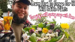 Learn How to Forage For 12 Wild Edible Plants 🌿 Foraging a Wild Spring Soup With Dane