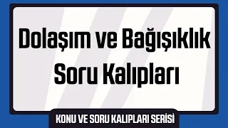 Dolaşım ve Bağışıklık Sistemi Soru Kalıpları