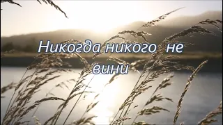 Никогда никого не вини