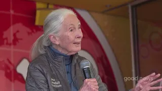 Jane Goodall auf dem Day of Hope in München (04.05.2023)