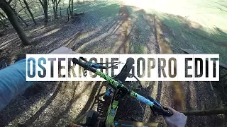 OSTERNOHE GOPRO EDIT - Bikepark Partylaps|TrailSurfers