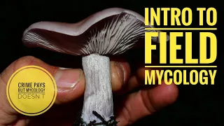 Intro to Field Mycology