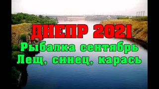 днепр 2021 Рыбалка сентябрь ловля леща подлещика карася синца