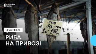 З бичком та без тюльки: яку рибу продають на Привозі в Одесі та скільки вона коштує