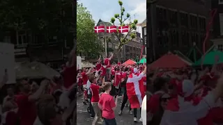 Denmark fans reaction after winning
