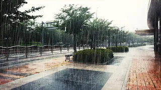 (4K) Walking in Heavy Rain | Streets & Village | Binaural Rain Sounds | South Korea | 강폭우 빗소리 장마