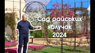 Garden of crabapples, 2024