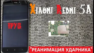 Xiaomi Redmi 5A не включается не заряжается "РЕАНИМАЦИЯ УДАРНИКА"