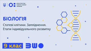 9 клас. Біологія. Статеві клітини. Запліднення. Етапи індивідуального розвитку