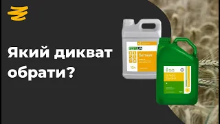 ЯК ОБРАТИ ДИКВАТ? БЮДЖЕТНА ДЕСИКАЦІЯ