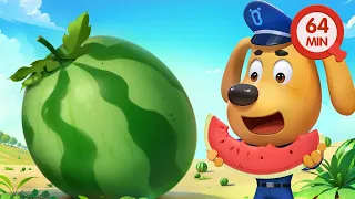 There's A Watermelon in My Tummy | Safety Tips | Detective Cartoon | Sheriff Labrador