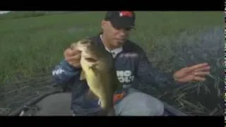 Frog Fishing in Heavy Cover for Largemouth Bass