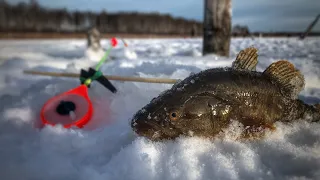 ВПЕРВЫЕ ЛОВЛЮ МОНСТРА !! ПЕРВЫЙ ЛЁД, как ловить РОТАНА?!