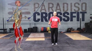 The Double Unders | Watch all active muscles