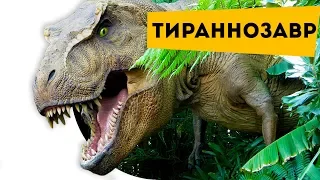 Interesting facts for children about dinosaurs. Dinosaur Tyrannosaurus Rex