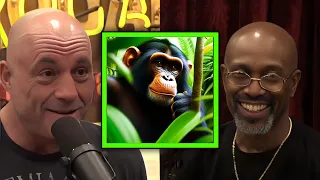 JRE: When Apes Prey: A Dark Secret of the Chimpanzee Diet