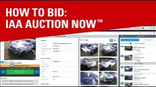 How to Bid: IAA AuctionNow™