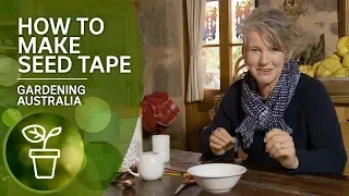 How to make seed tape for easy sowing