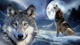 Psychedelic Trance Mix 2017 - ♫  The Birth Of The Wolf ♫