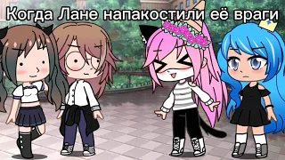 Ах какая пара meme ( есть маты чуток) Кошка Лана , Стелла , Какие-то девочки