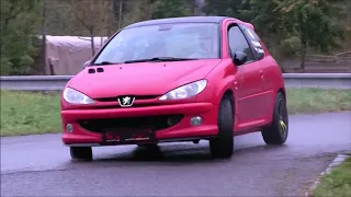 Rally Kopr cup  Peugeot 206RC