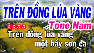 Tình Ca Trên Lúa Karaoke Tone Nam Cha Cha Dễ hát ( La Thứ ) Karaoke Tuyết Nhi | Trên Đồng Lúa Vàng