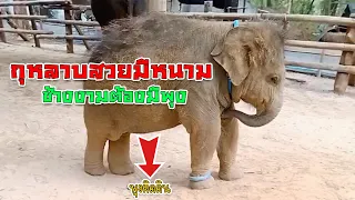 โลกสีชมพูของเธอ 2 ตัว "มีนาและแม่แสนดี" เข้ากันอย่างกับปี่และขลุ่ย