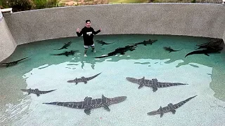I Filled my Pool with DEADLY ALLIGATORS!! **SWIMMING WITH THEM**