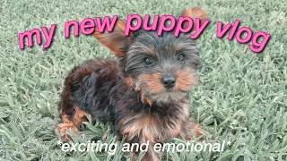 GETTING MY NEW YORKIE PUPPY! *puppy vlog*