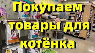 США.Зоомагазин.Решили завести котёнка.Покупаем товары для котёнка в зоомагазине и на Amazon.