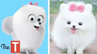 10 Secret Life Of Pets Characters In Real Life