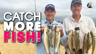 Hot WHITING Session: Beach Fishing at North Narrabeen!